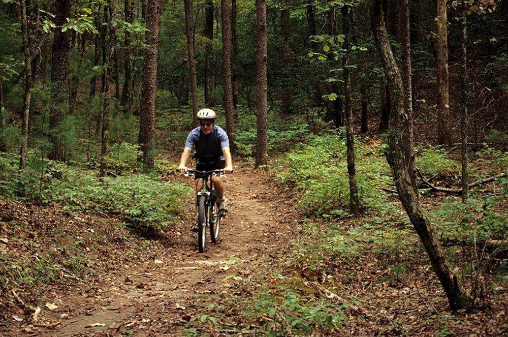 Unicoi State Park & Lodge Helen Extérieur photo